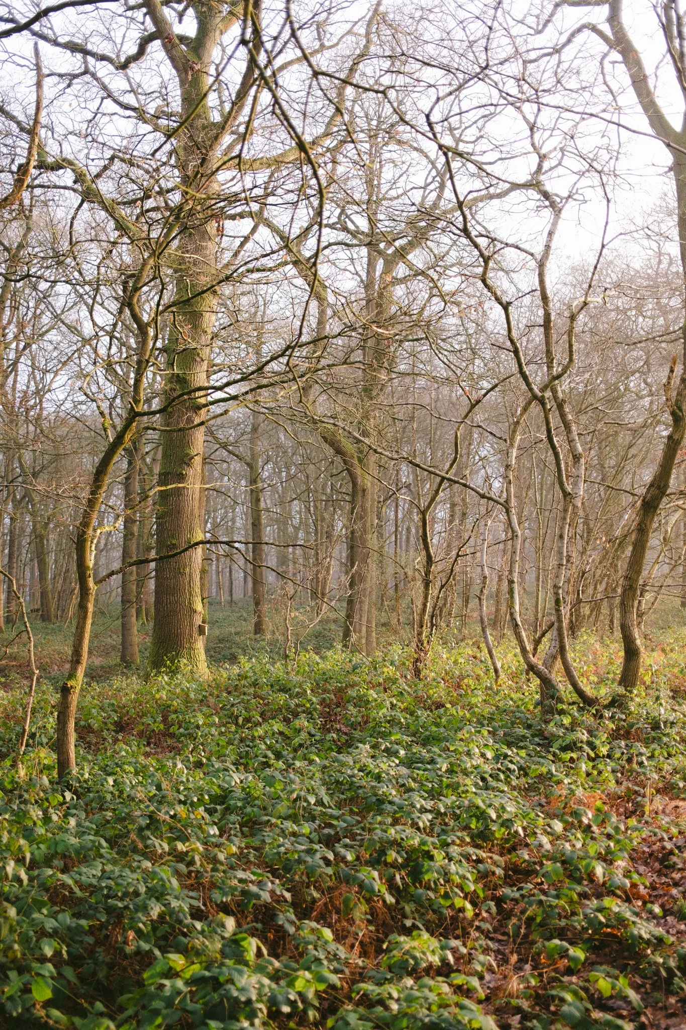 Will Thompson @shotbythompson-1 10.jpg