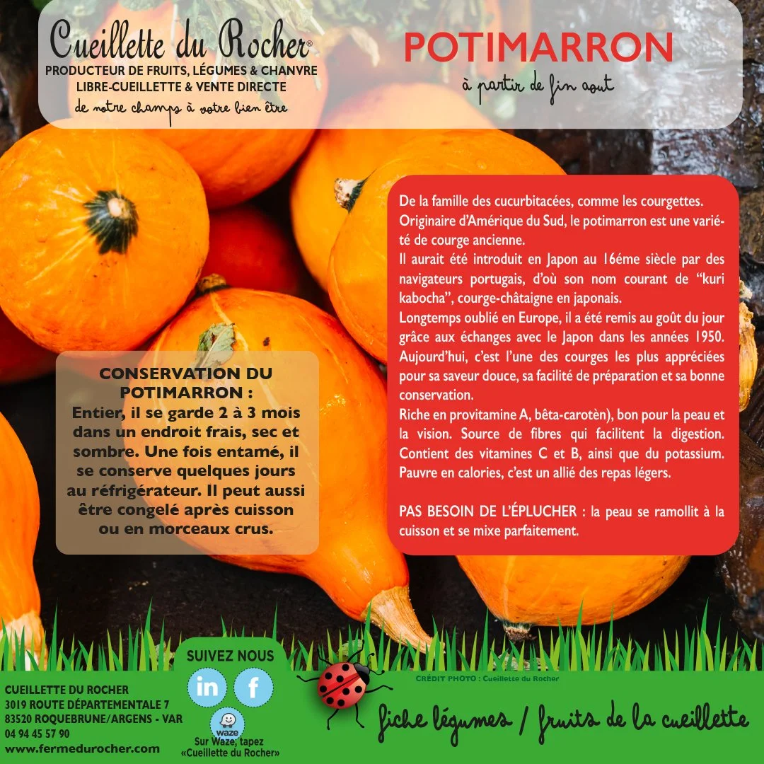 POTIMARRON