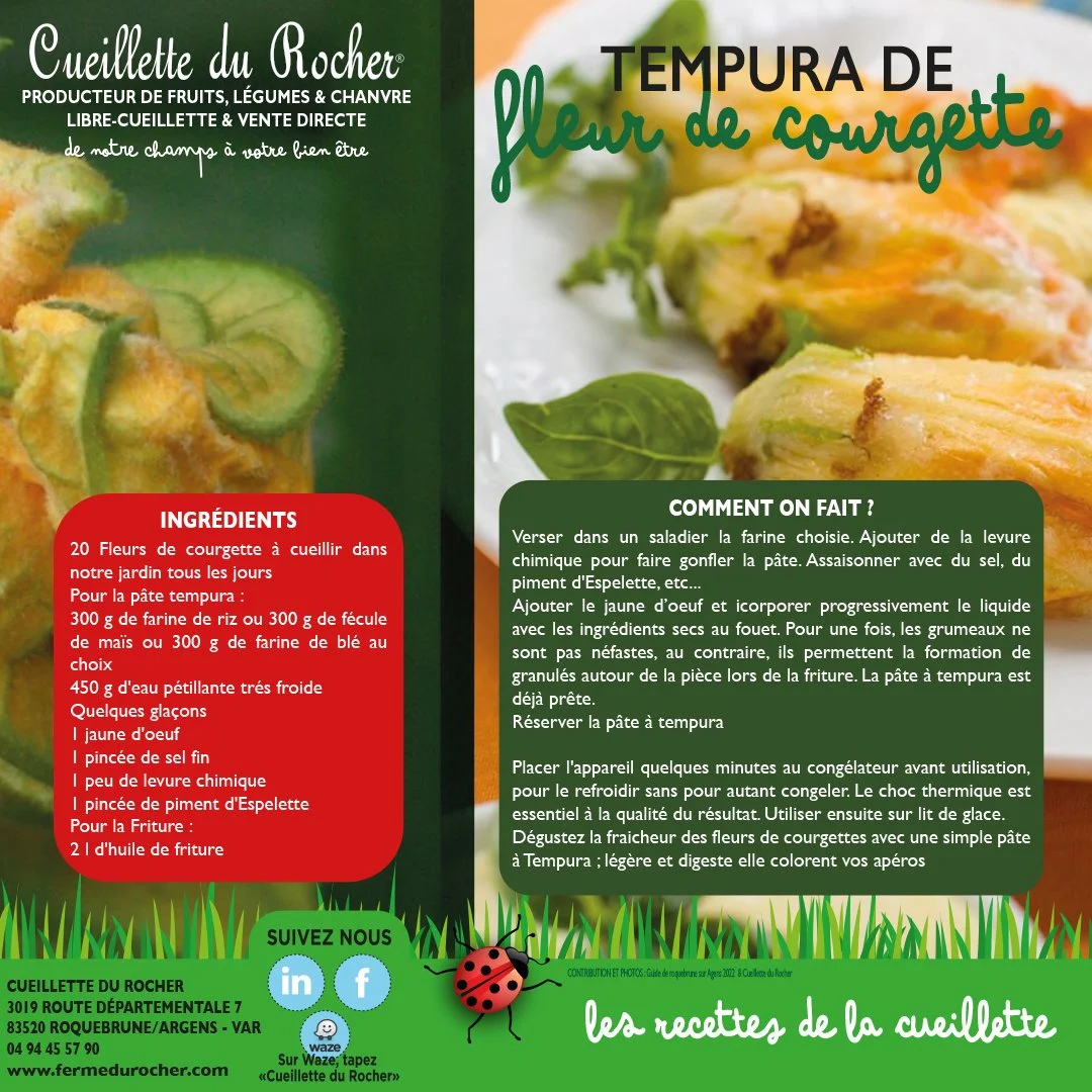 TEMPURA DE FLEURS DE COURGETTES
