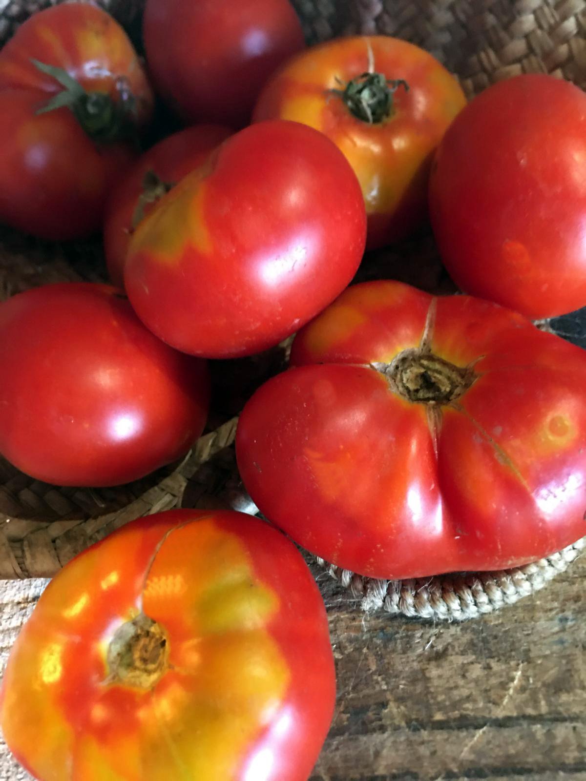 Tomates rouges et jaunes dans un panier en osier sur une surface en bois.