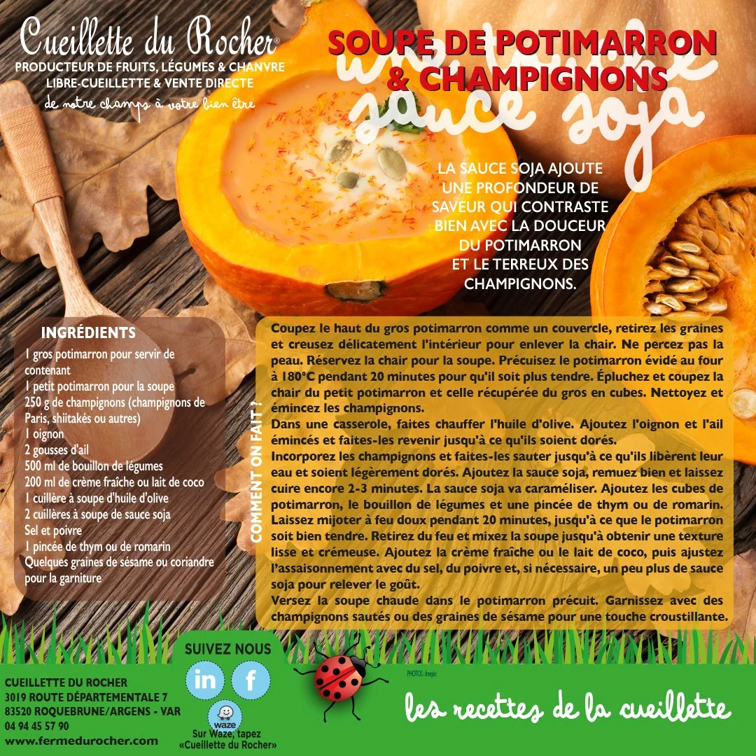 SOUPE DE POTIMARRON ET CHAMPIGNONS