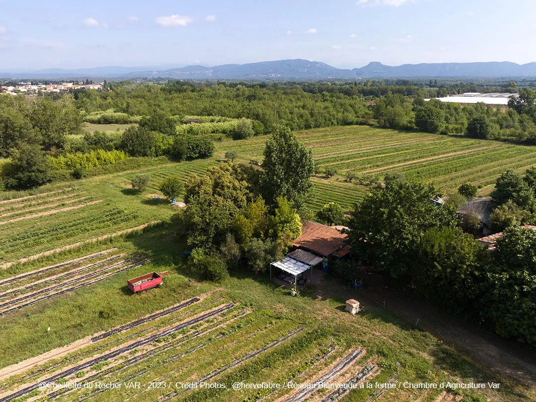 Paysage agricole avec champs cultivés, arbres, ferme, et montagnes au loin.