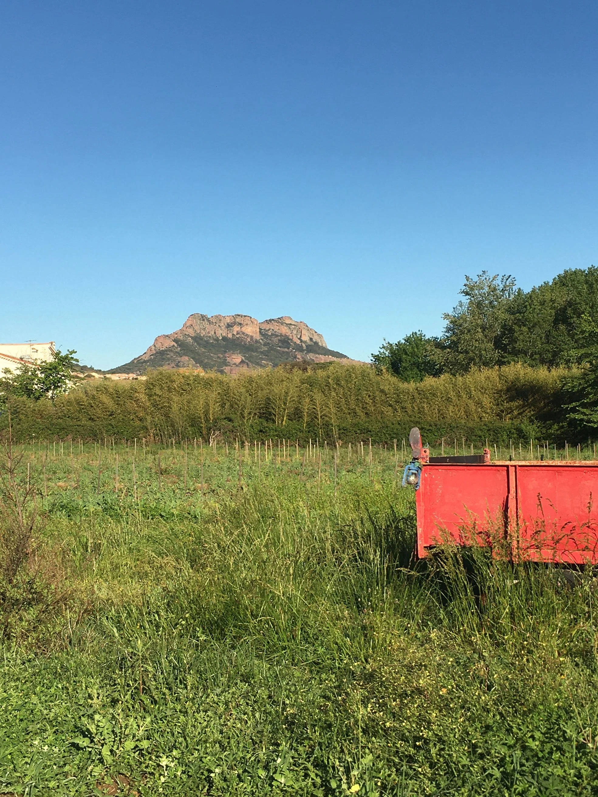 Paysage champêtre avec un mont en arrière-plan, un ciel bleu clair, des arbres et un véhicule rouge stationné dans l'herbe.