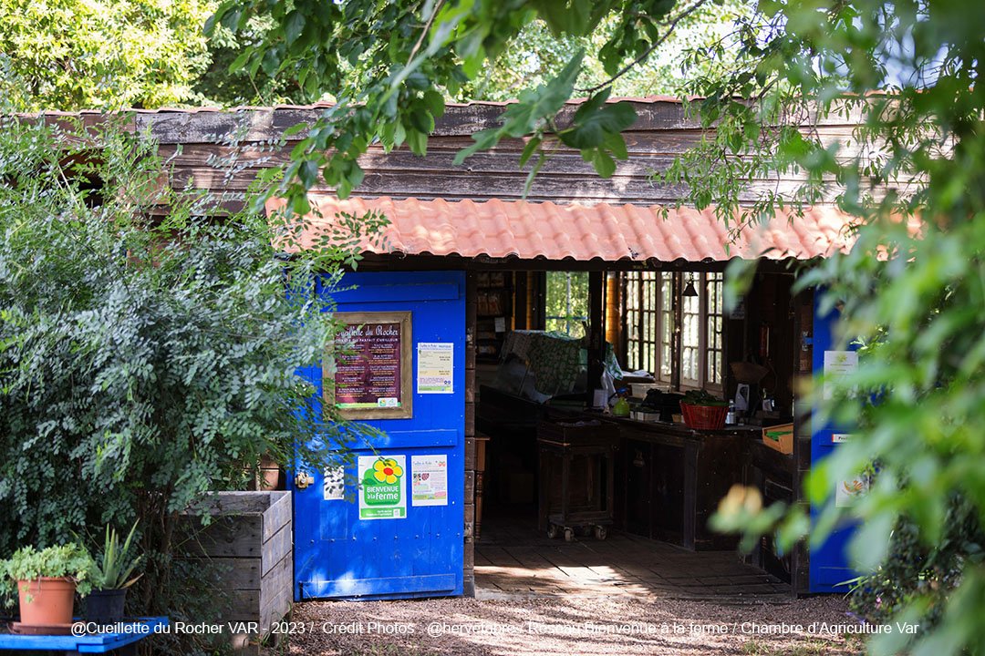 Une petite cabane en bois peinte en bleu, entourée de végétation, avec une porte entrouverte laissant voir l'intérieur, qui semble être un petit magasin ou un espace de travail. Il y a des plantes en pot devant la cabane.