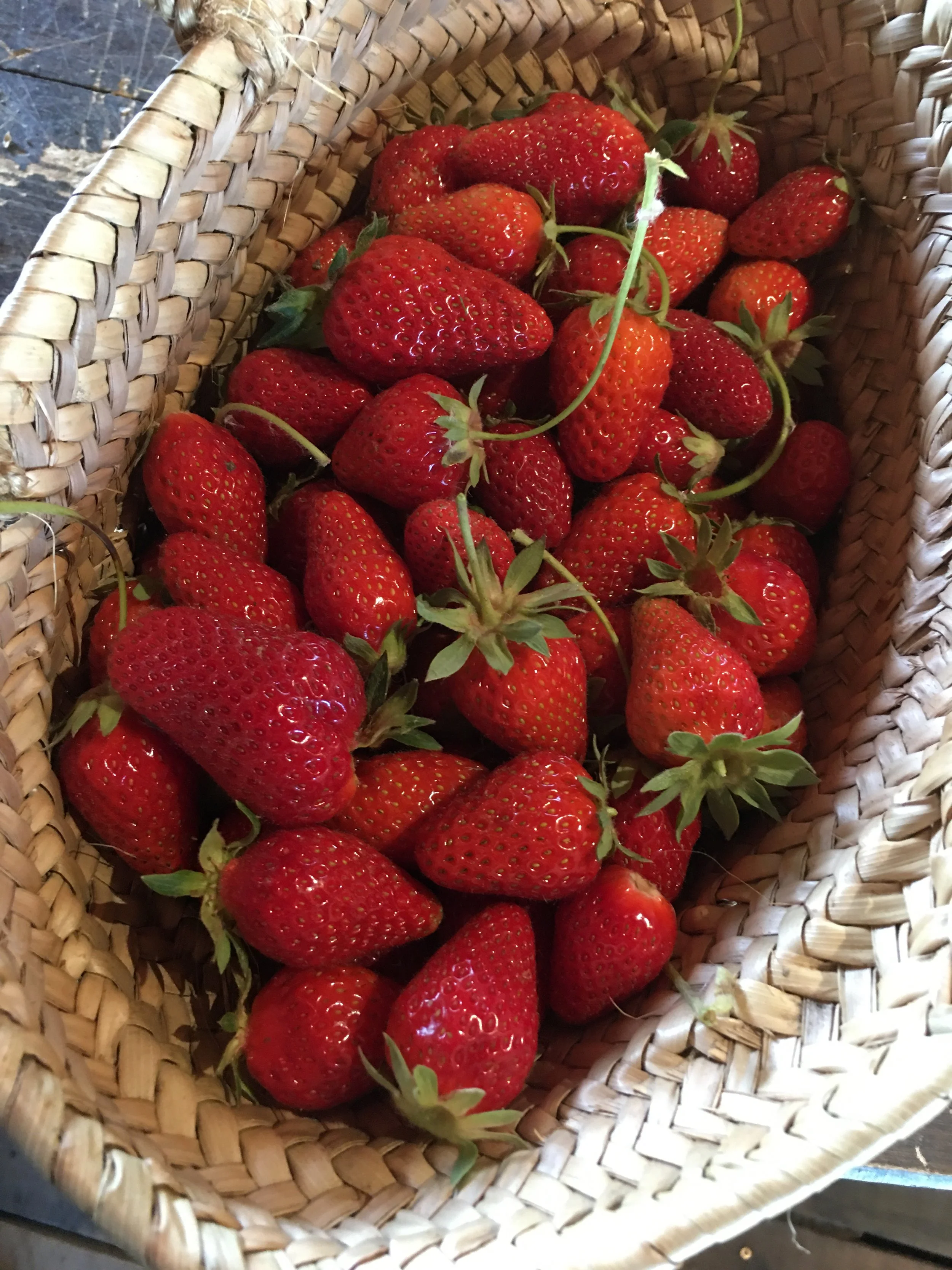Fraises rouges dans un panier en vannerie.