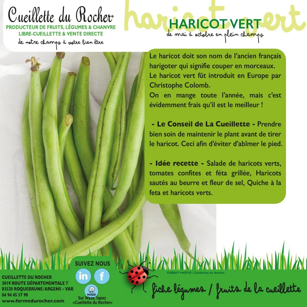 HARICOTS VERTS
