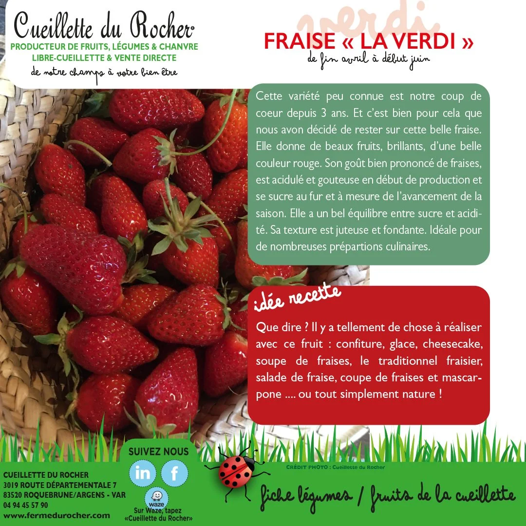 NOS FRAISES