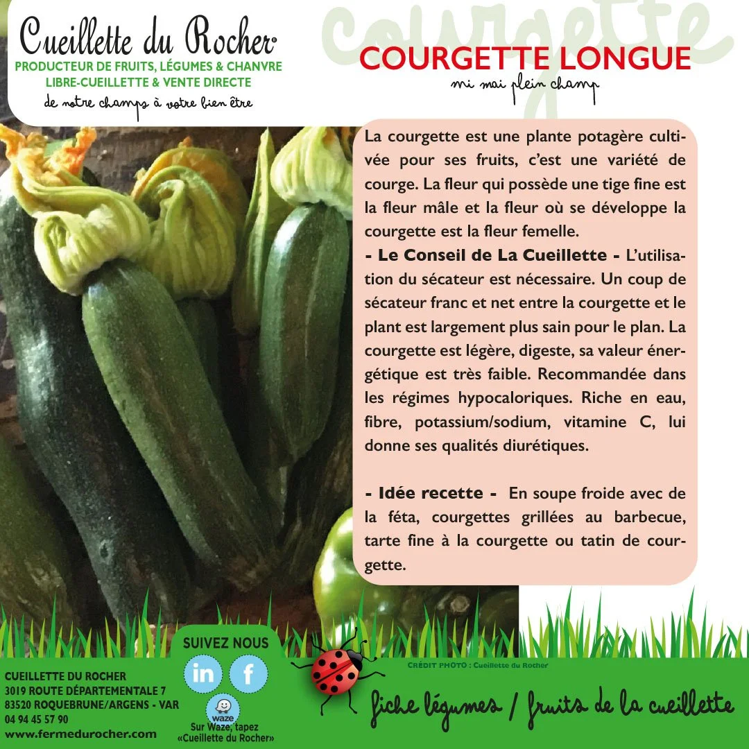 COURGETTE