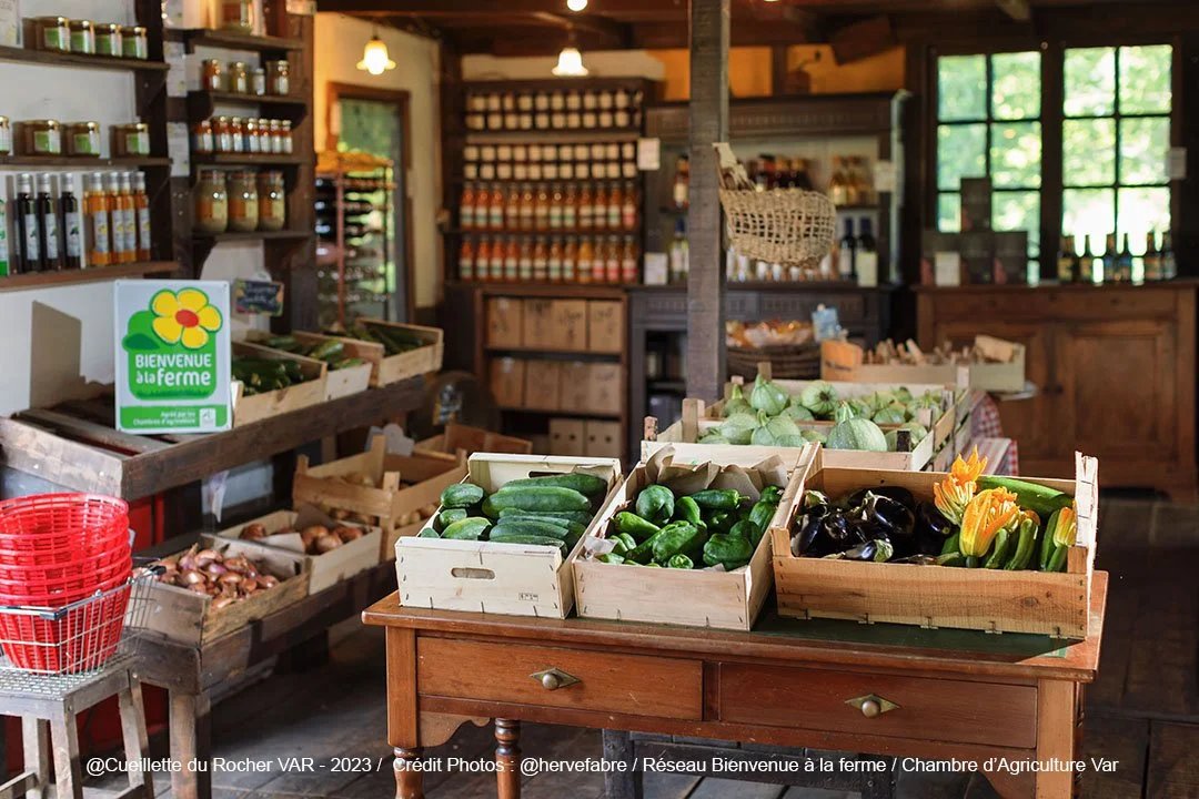 boutique de la cueillette du rocher avec étal de légumes frais comme courgettes, aubergines, et autres, dans une ferme dans le Var