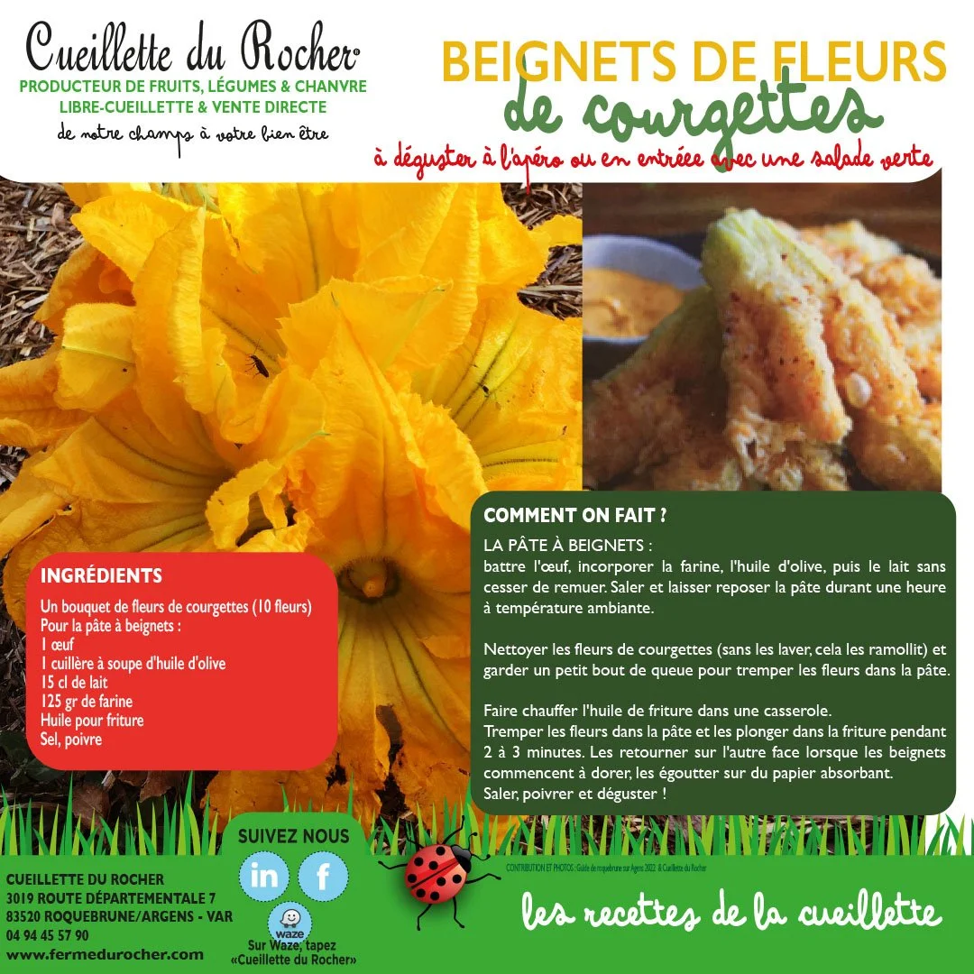 BEIGNETS DE FLEURS DE COURGETTE