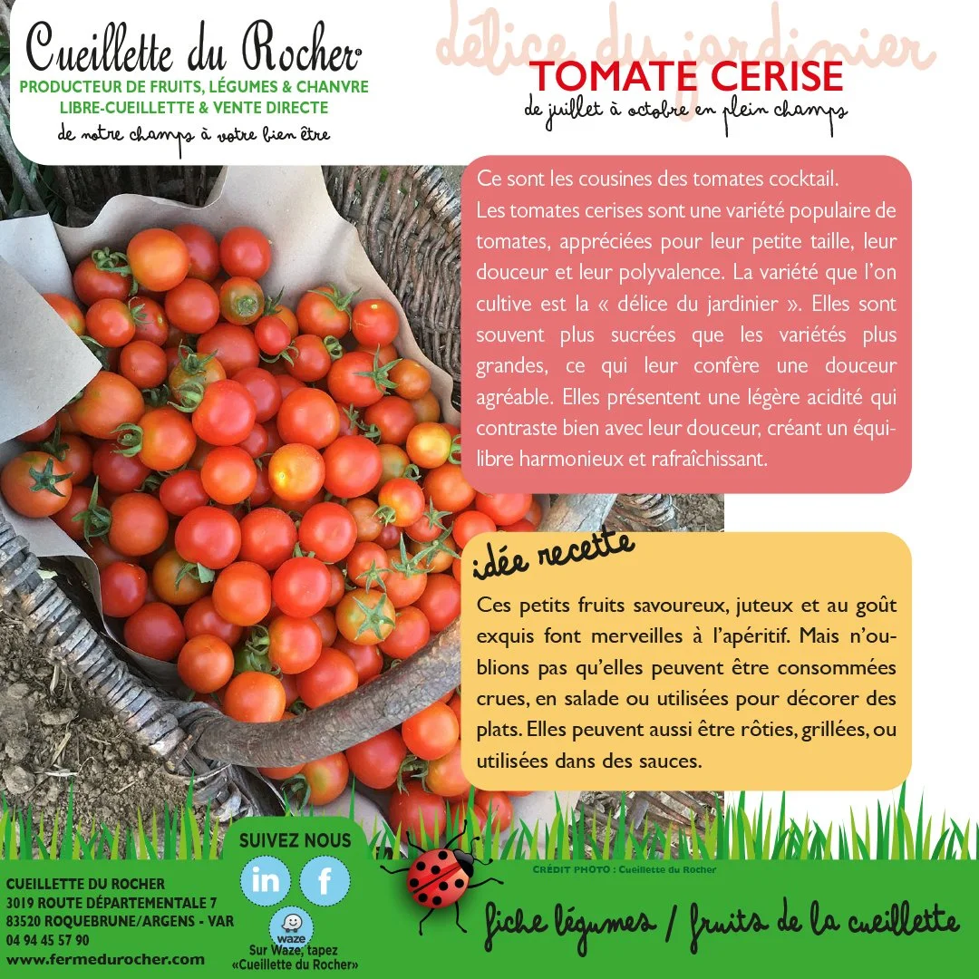 TOMATES CERISES