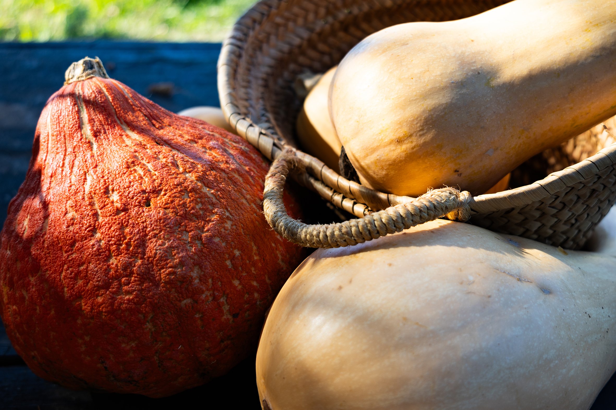 Légumes d'automne, citrouille orange, courges en crème dans un panier en osier