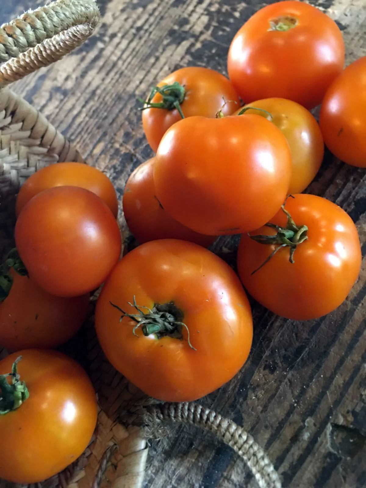 Tomates mûrs orange dans un panier et sur une surface en bois.