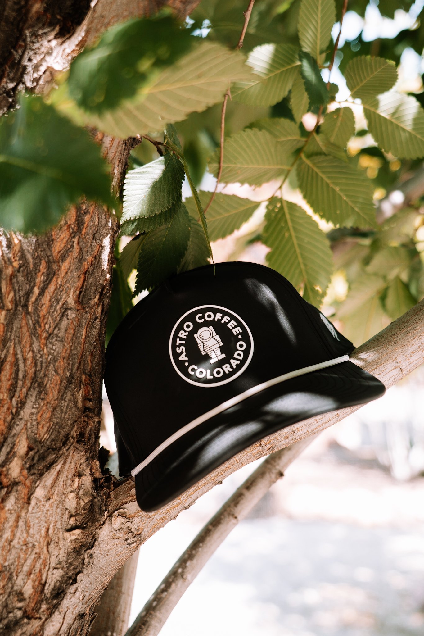 Astro Snapback Hat