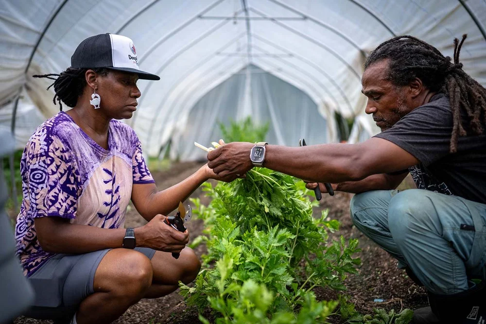 Community Planning — Deep Roots CPS Farm