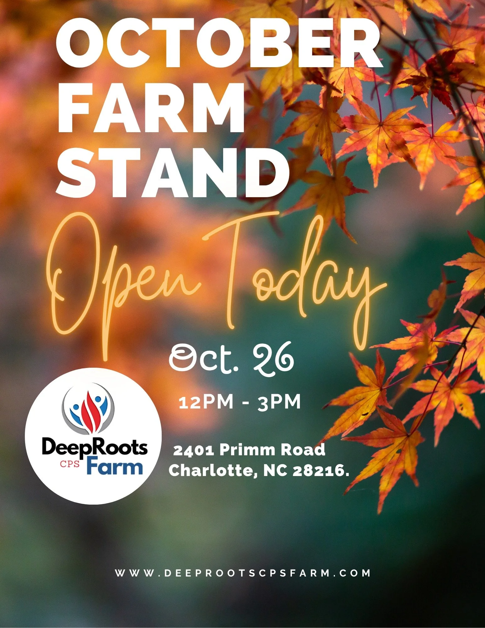 Our farm stand is open today - 12PM - 3PM 
2401 Primm Road Charlotte, NC 28216
#Deeprootscpsfarm #farm #urbanfarming #localfood