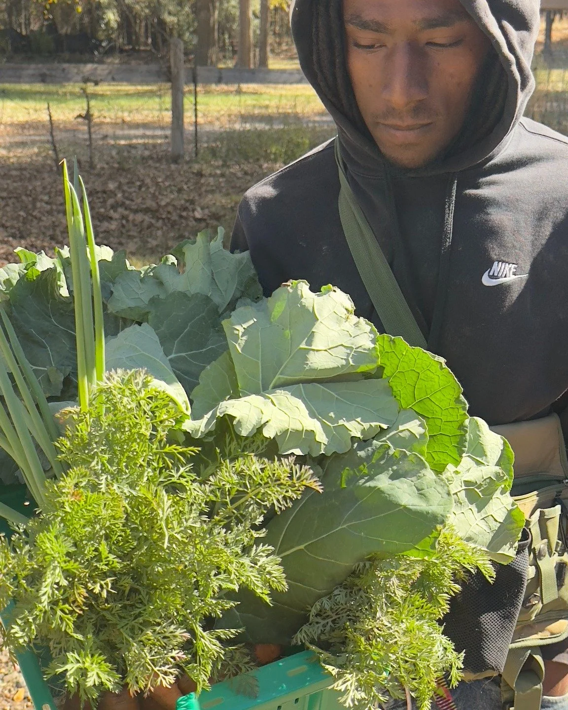 Every season of rest whispers a promise that what we nurture together will bloom again. ✨

This week brought our first frost.  The pepper plants drooped, signaling the end of their season, but the collards? They stood proud, leaves kissed by cold, ge
