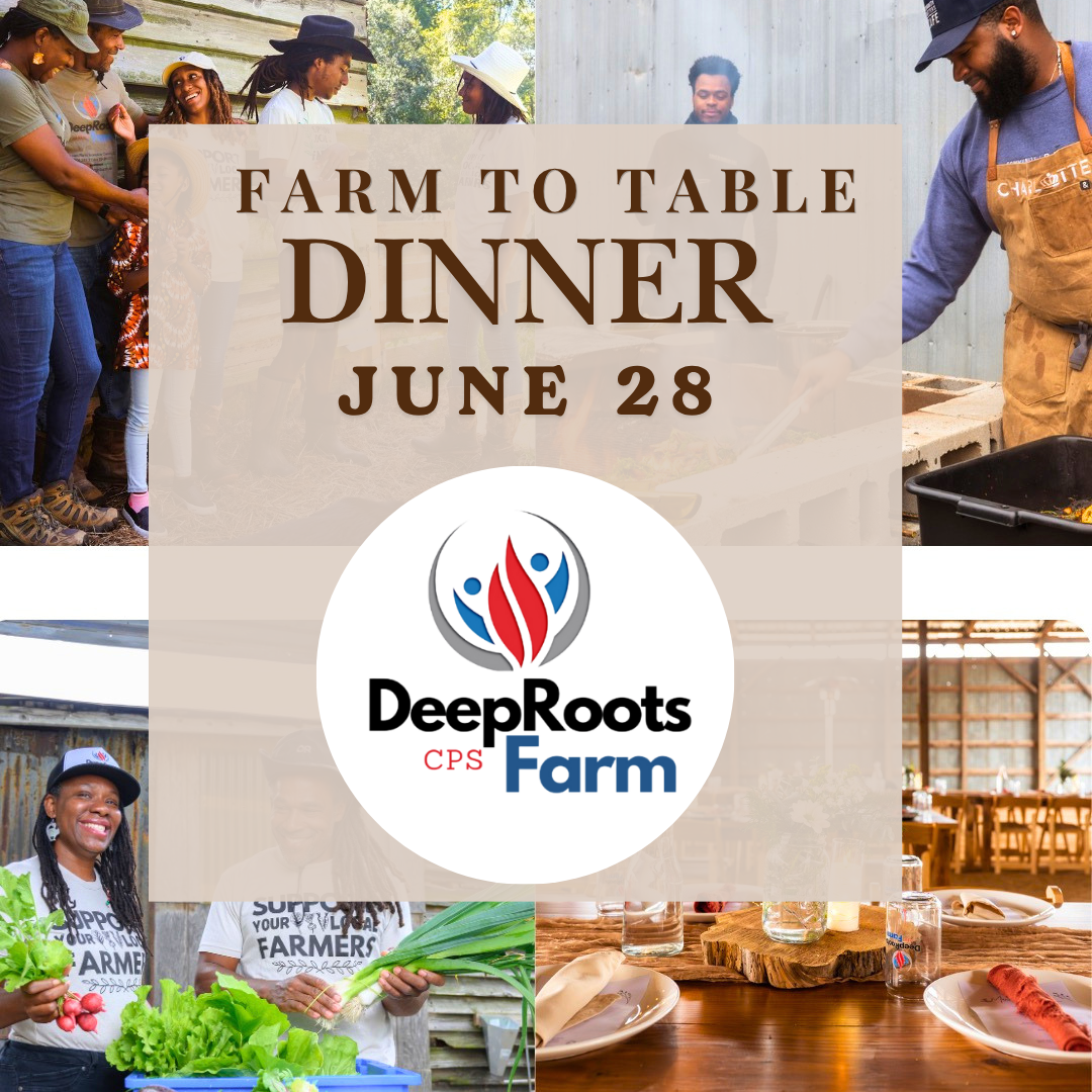 Fire &amp; Farm Dinner Experience