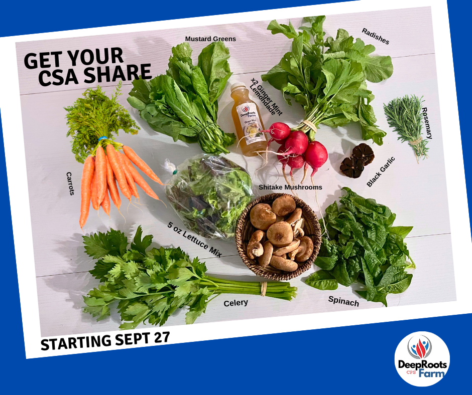 Deep Roots, Strong Connections: Our Fall CSA and the Legacy We Carry ...