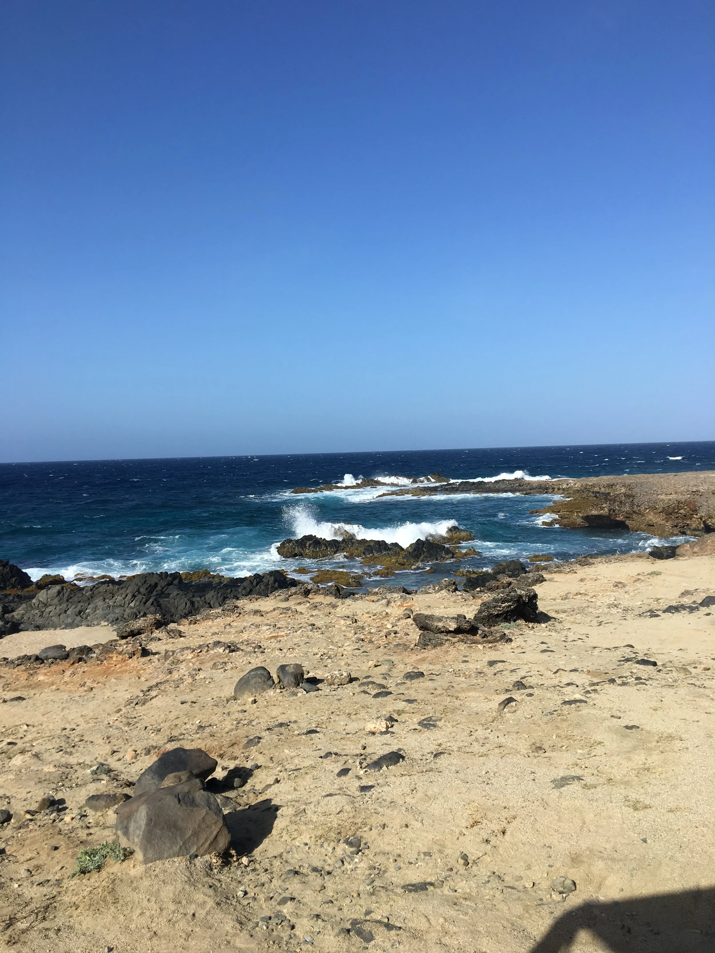 IMG_7304.jpeg