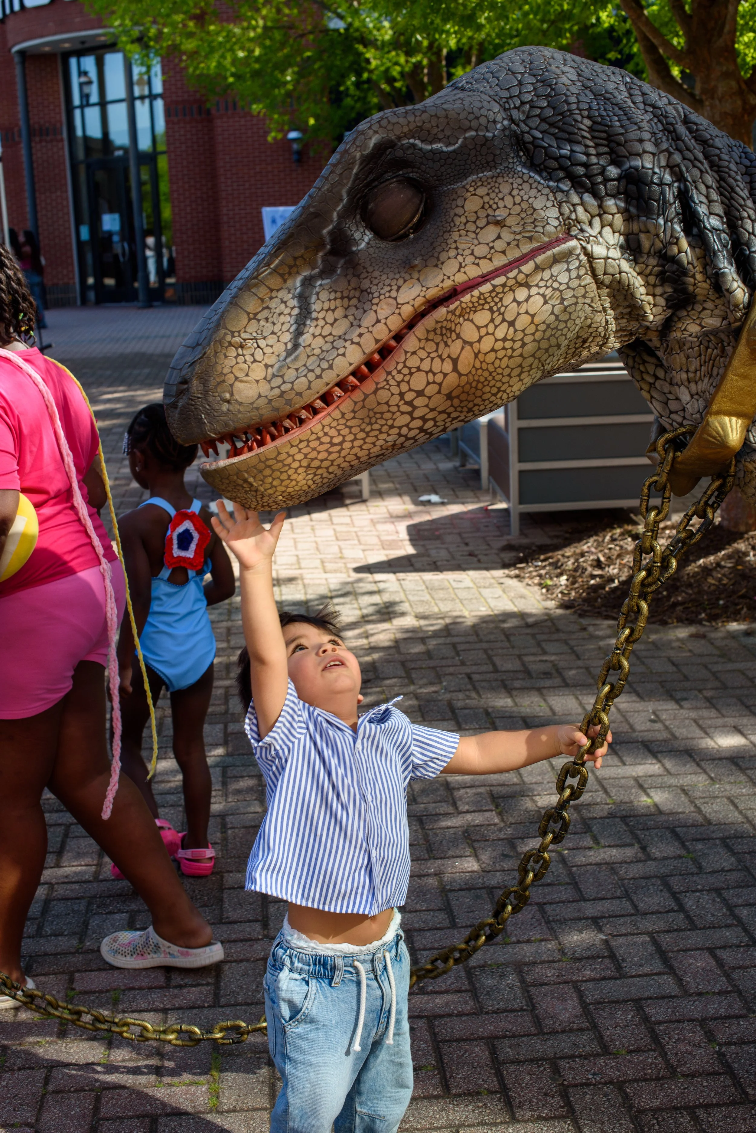 little boy reaching up to touch a costumed dinosaur's chin at an outdoor event