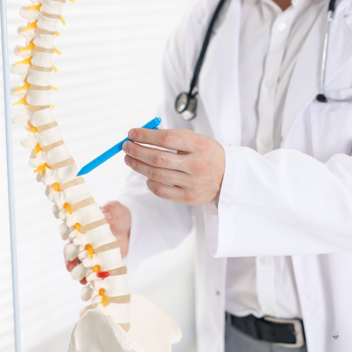 The Spine Timeline: How Aging Impacts Your Back Over The Decades