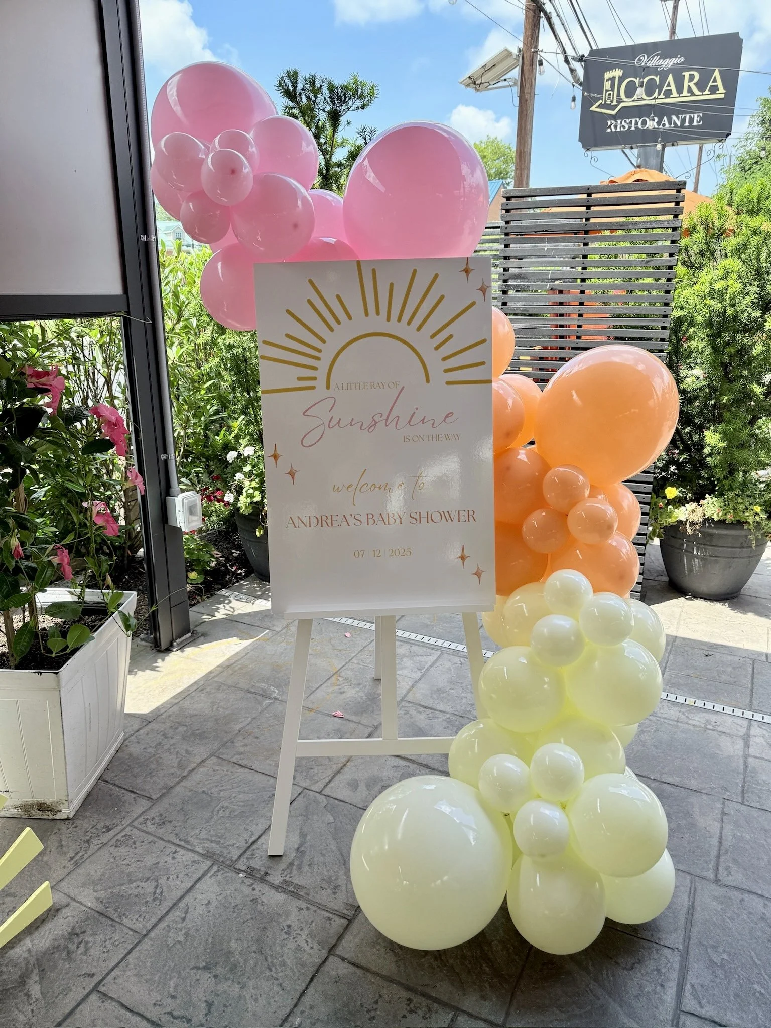 Photo Jul 12 2025, 12 17 38 PM.jpg