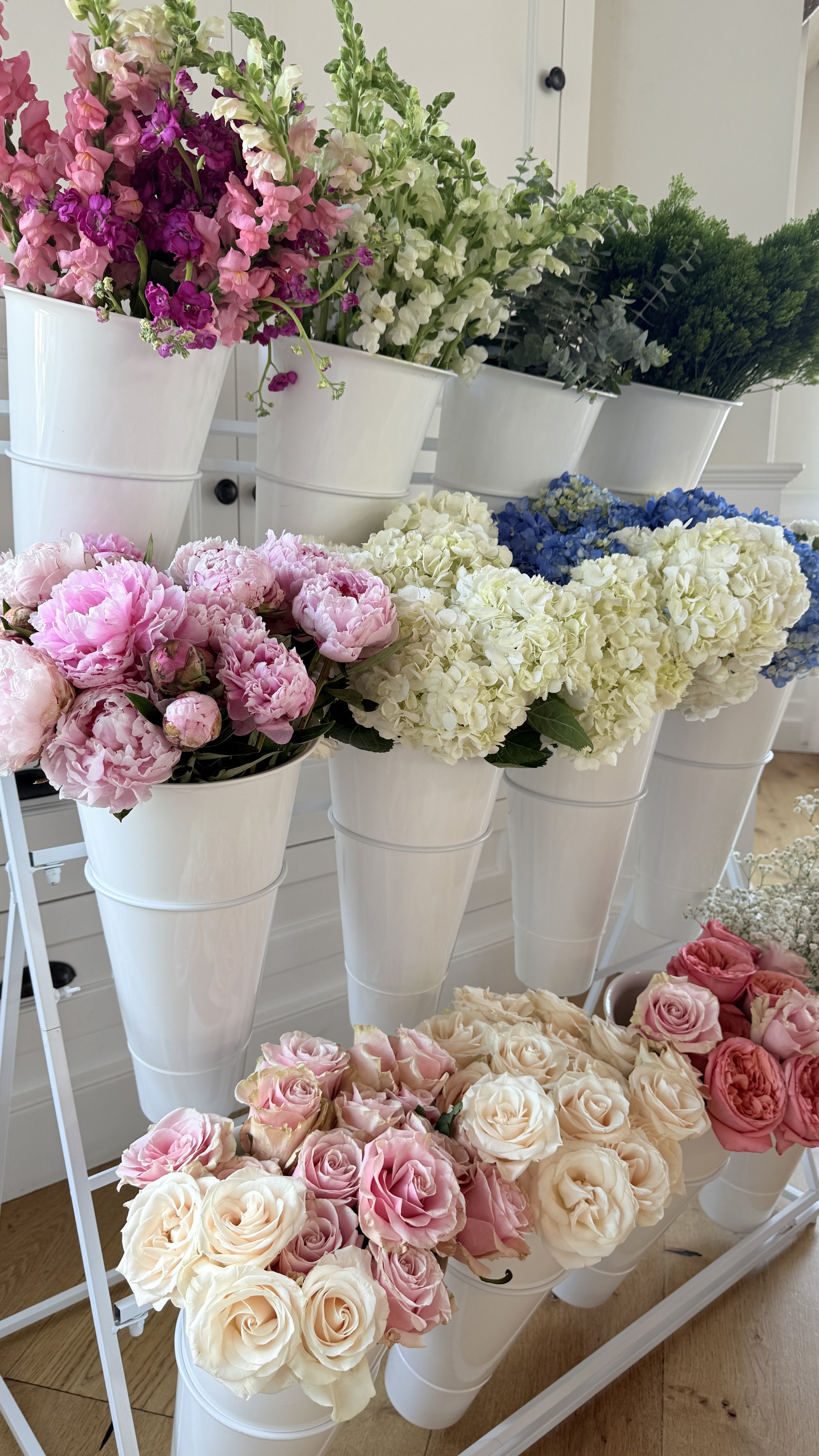 Photo Jun 29 2025, 10 43 02 AM.jpg