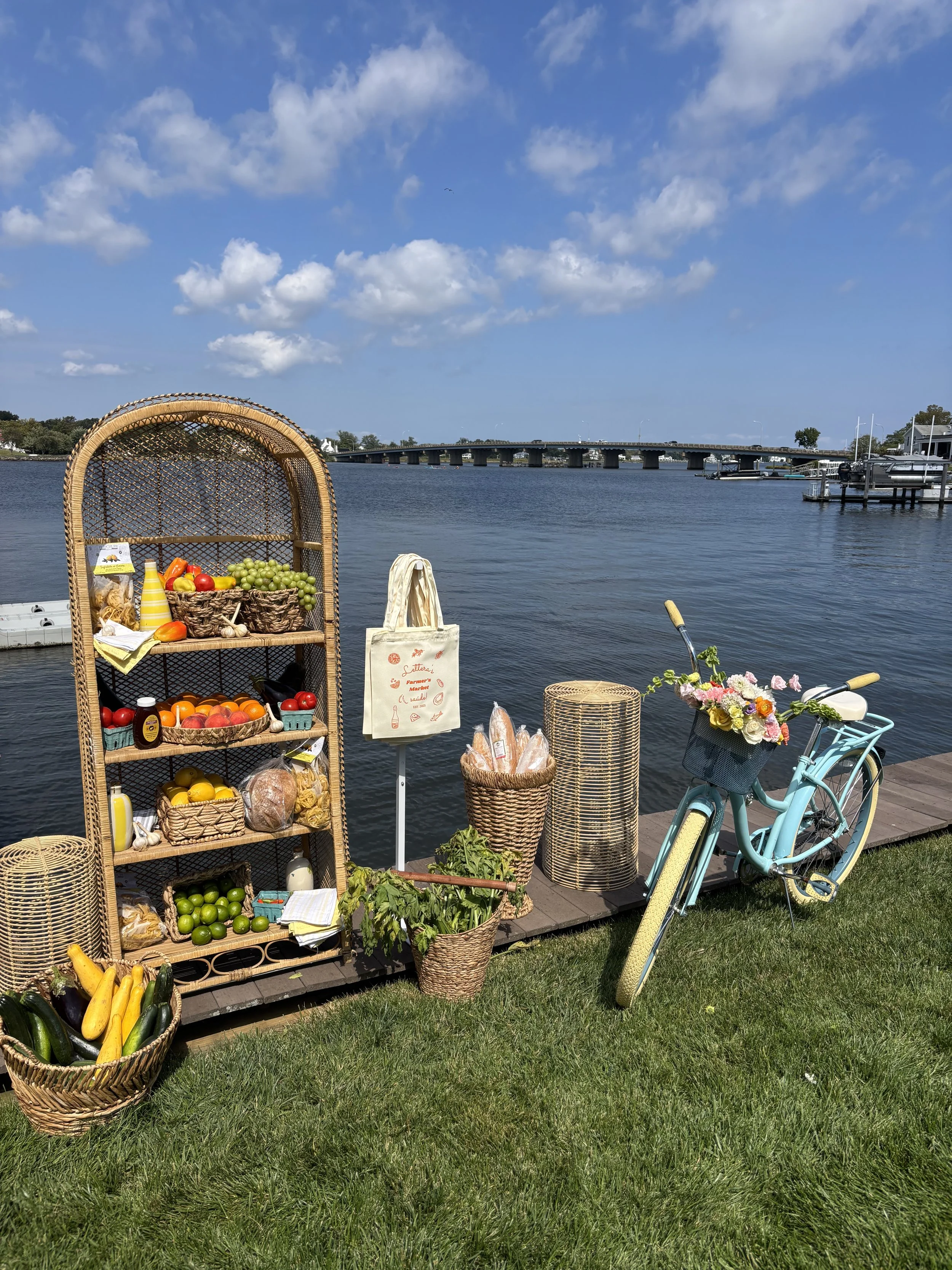 Photo Sep 13 2025, 12 06 05 PM.jpg