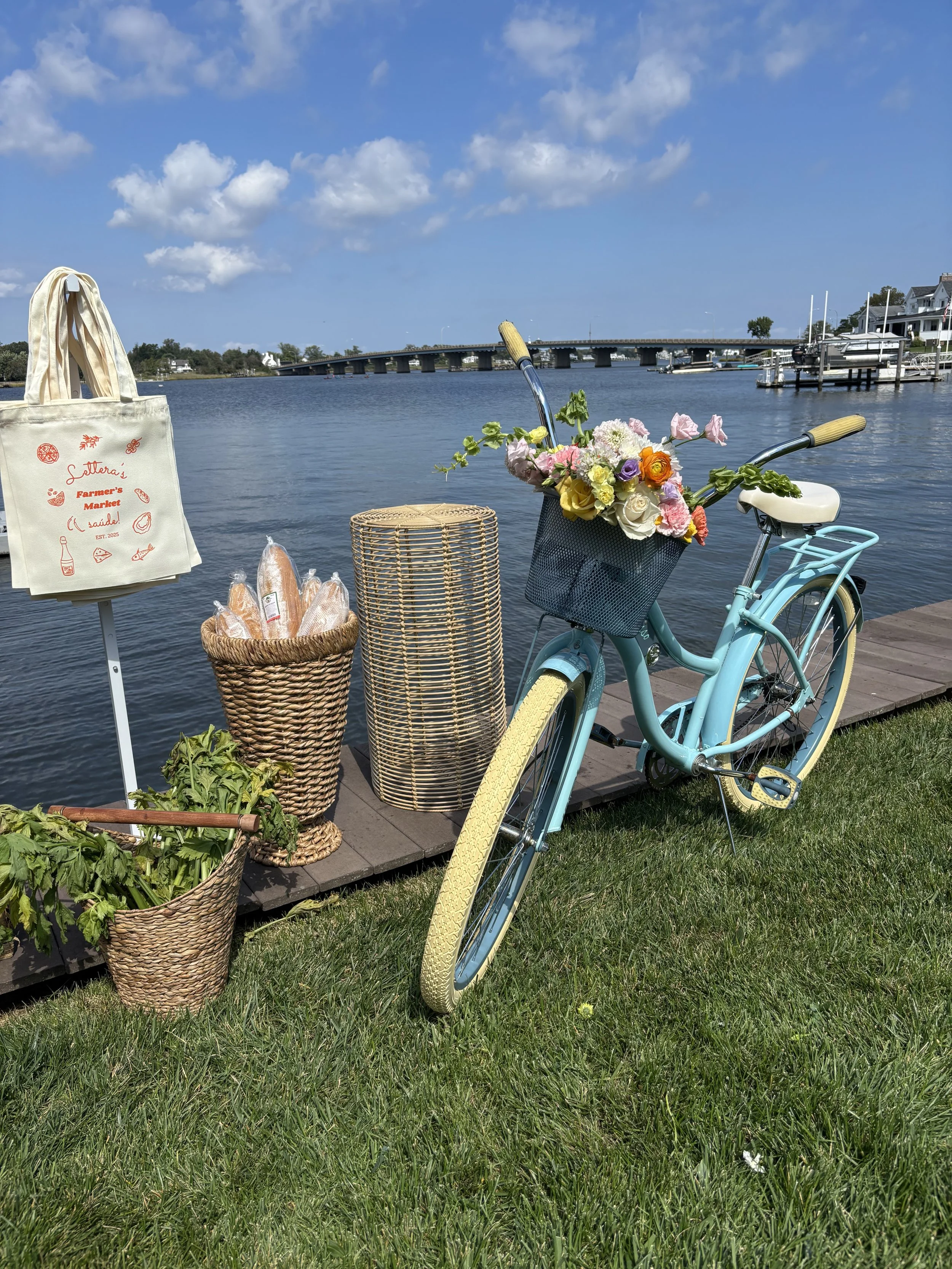 Photo Sep 13 2025, 12 06 30 PM.jpg