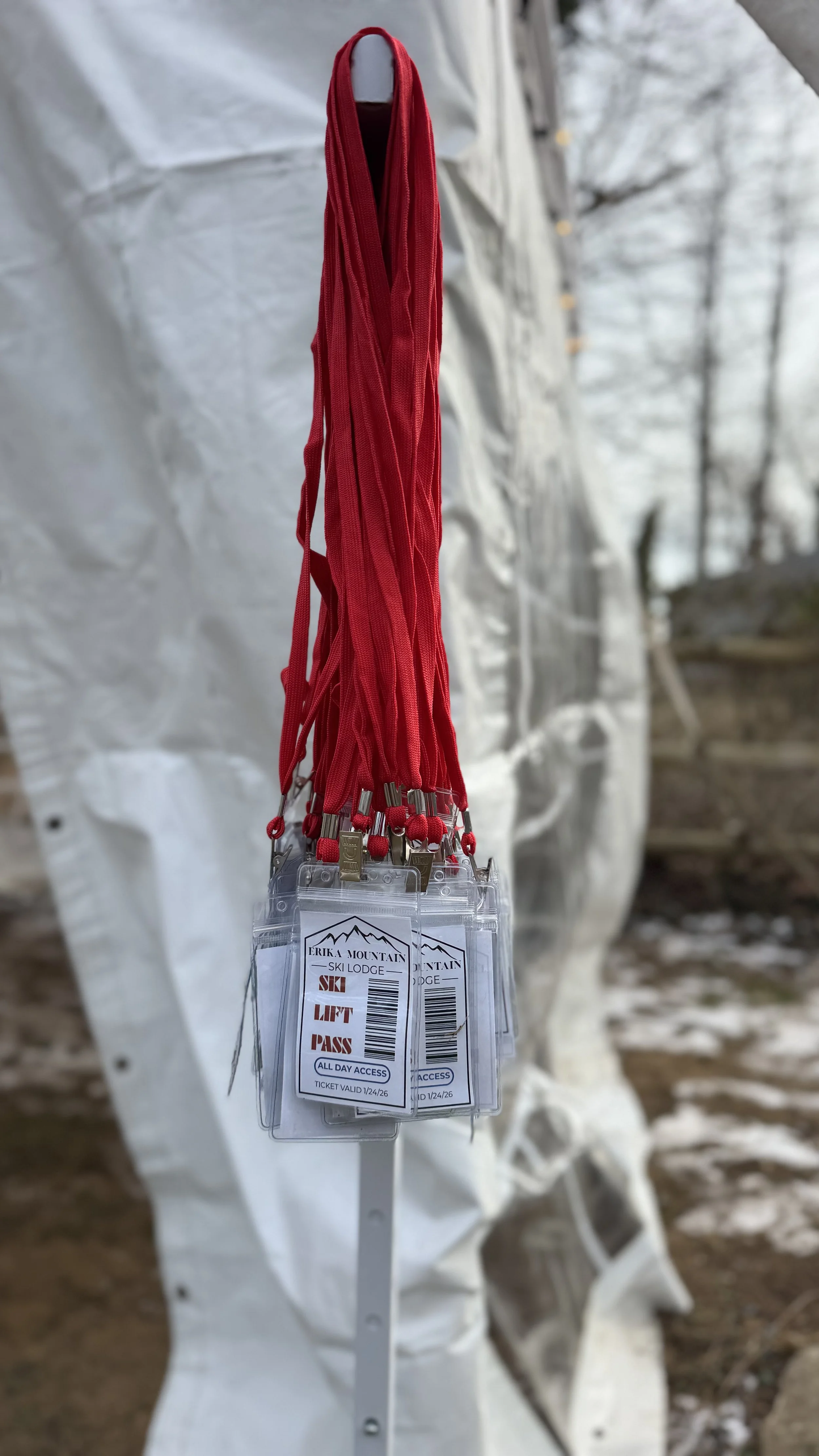 Photo Jan 24 2026, 2 20 03 PM.jpg