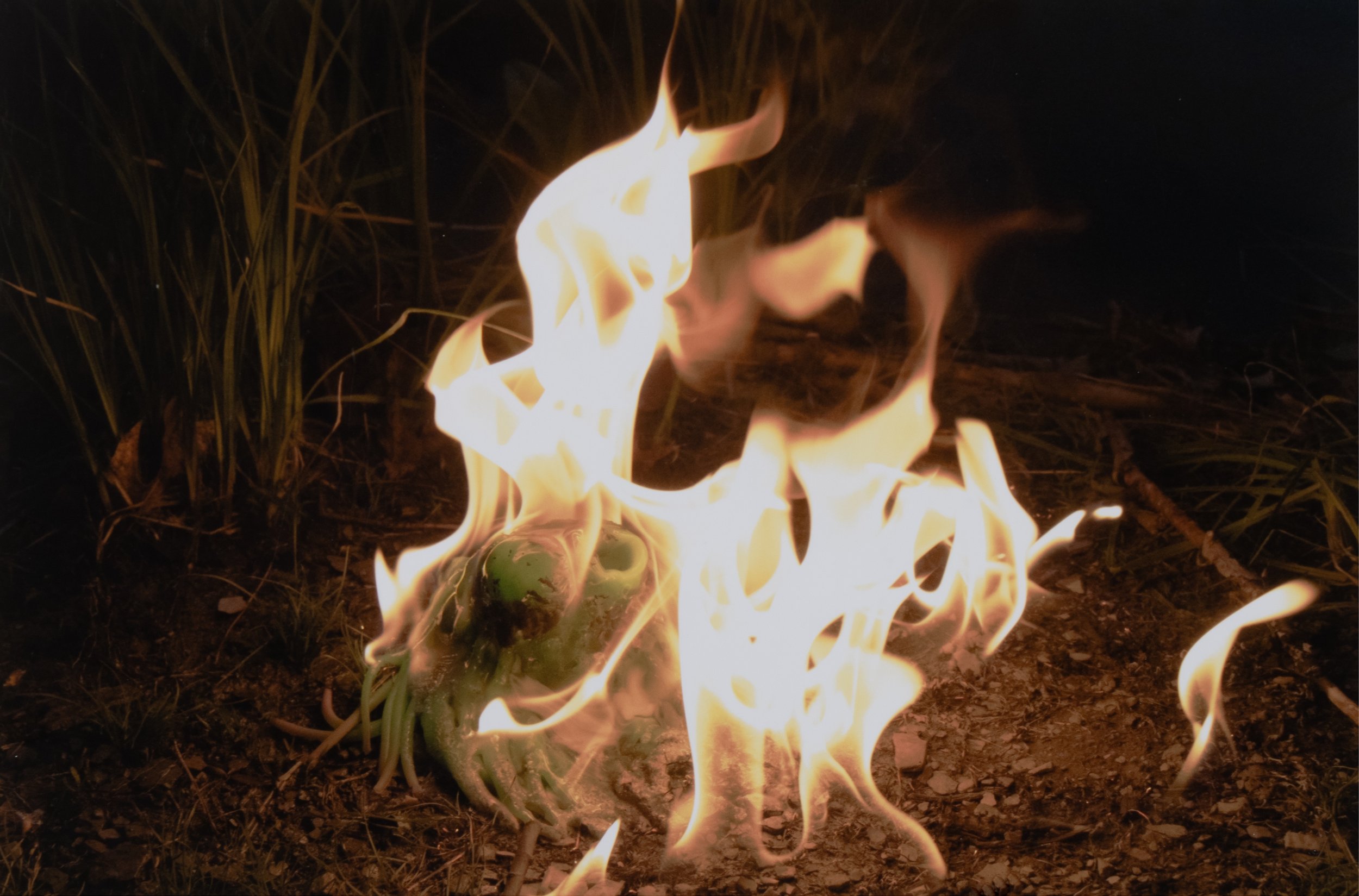 The Cleansing
