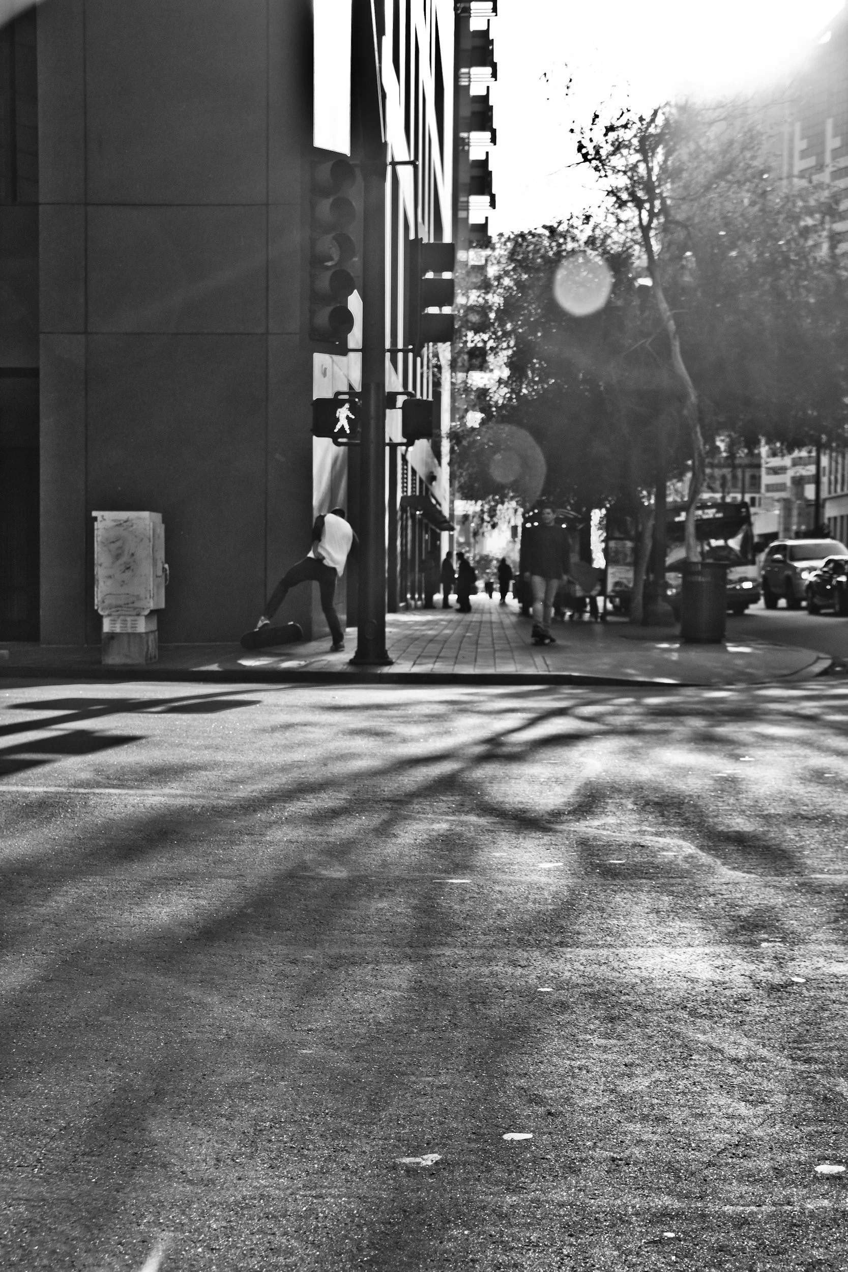 Panorámica urbana en blanco y negro con personas en la acera, árboles y vehículos en la calle, reflejos y sombras en el suelo, y edificios en el fondo.