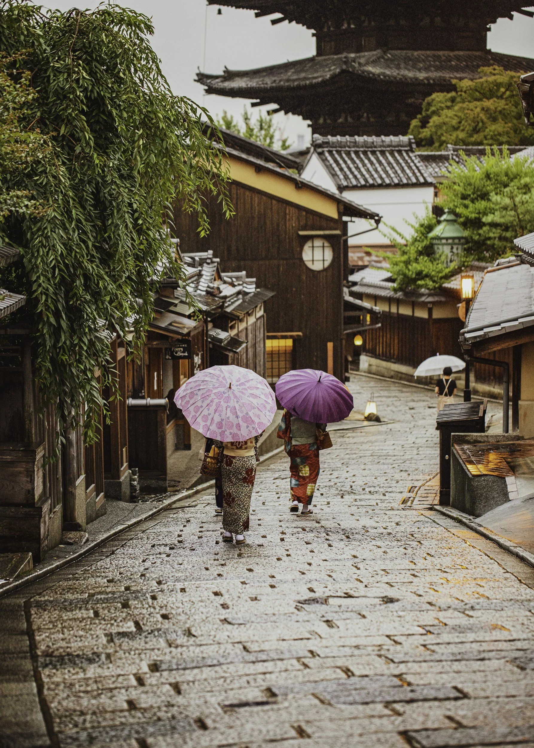 Two women walking on a wet cobblestone street holding pink and purple umbrellas, surrounded by traditional wooden Japanese buildings and trees.