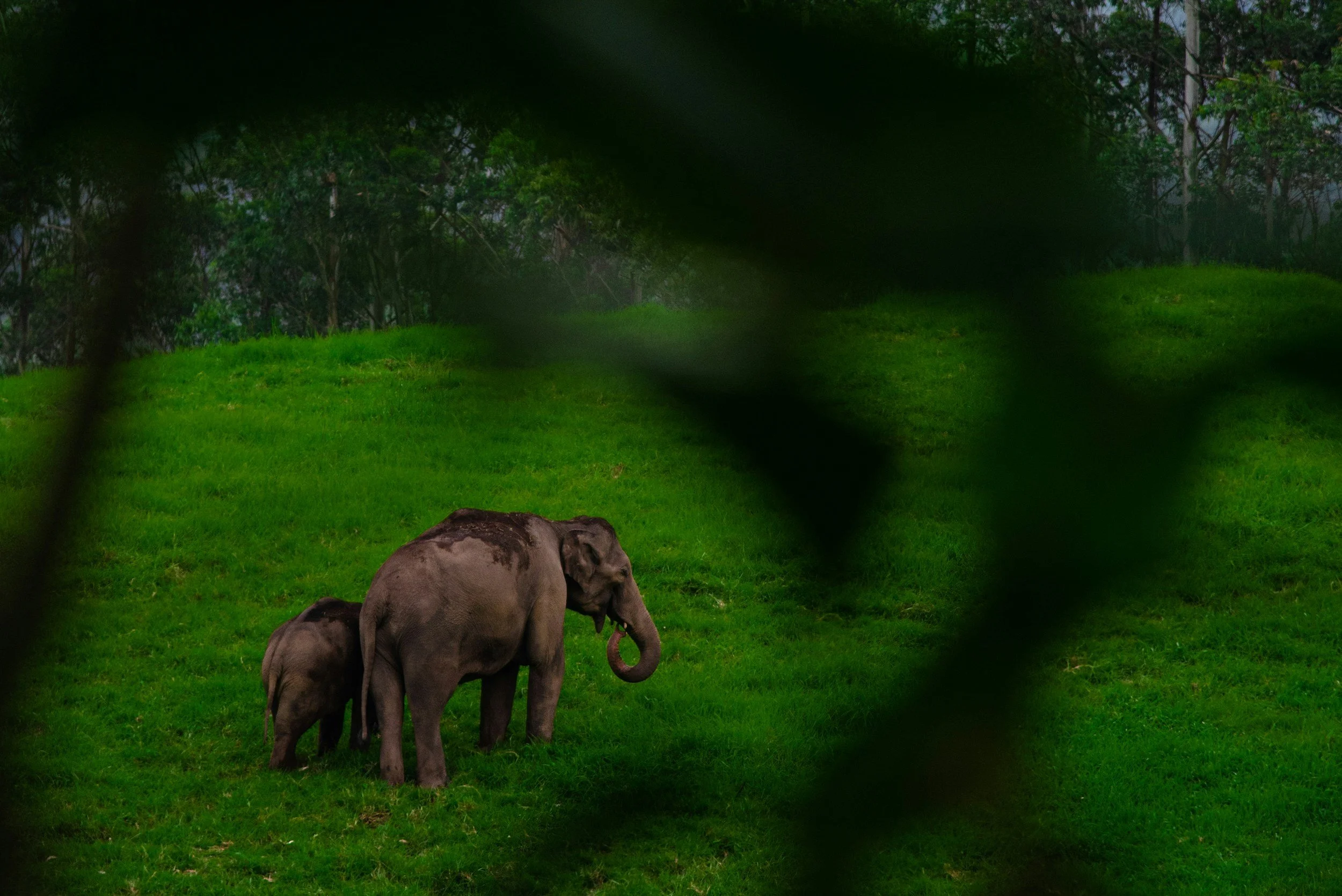 Periyar Lake boat safari and spice plantation walk during a women’s trip to Kerala