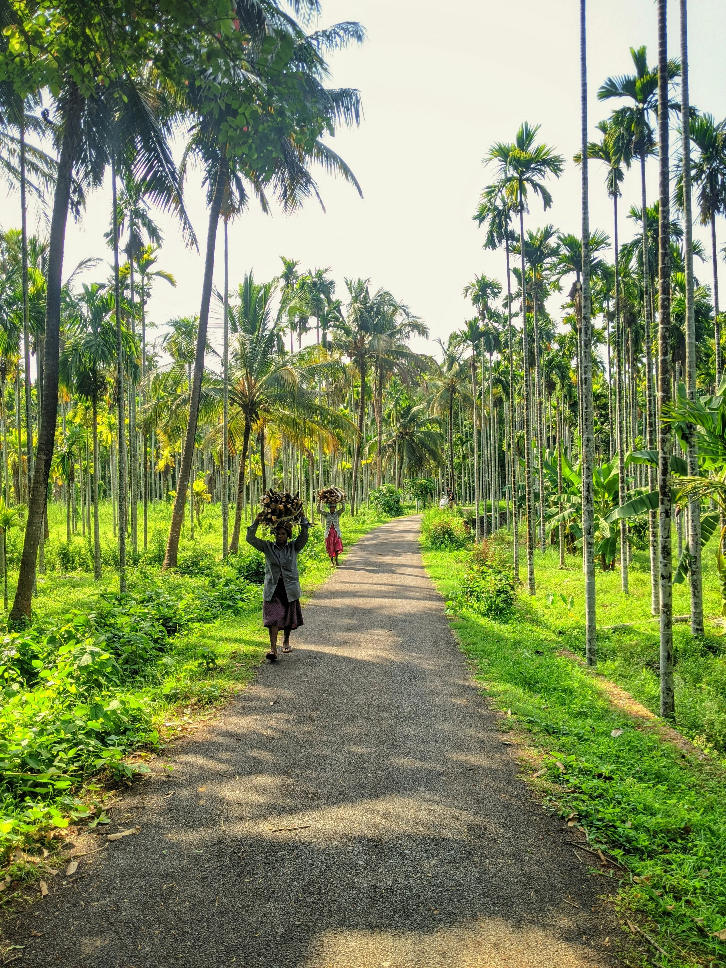 Kerala.jpg