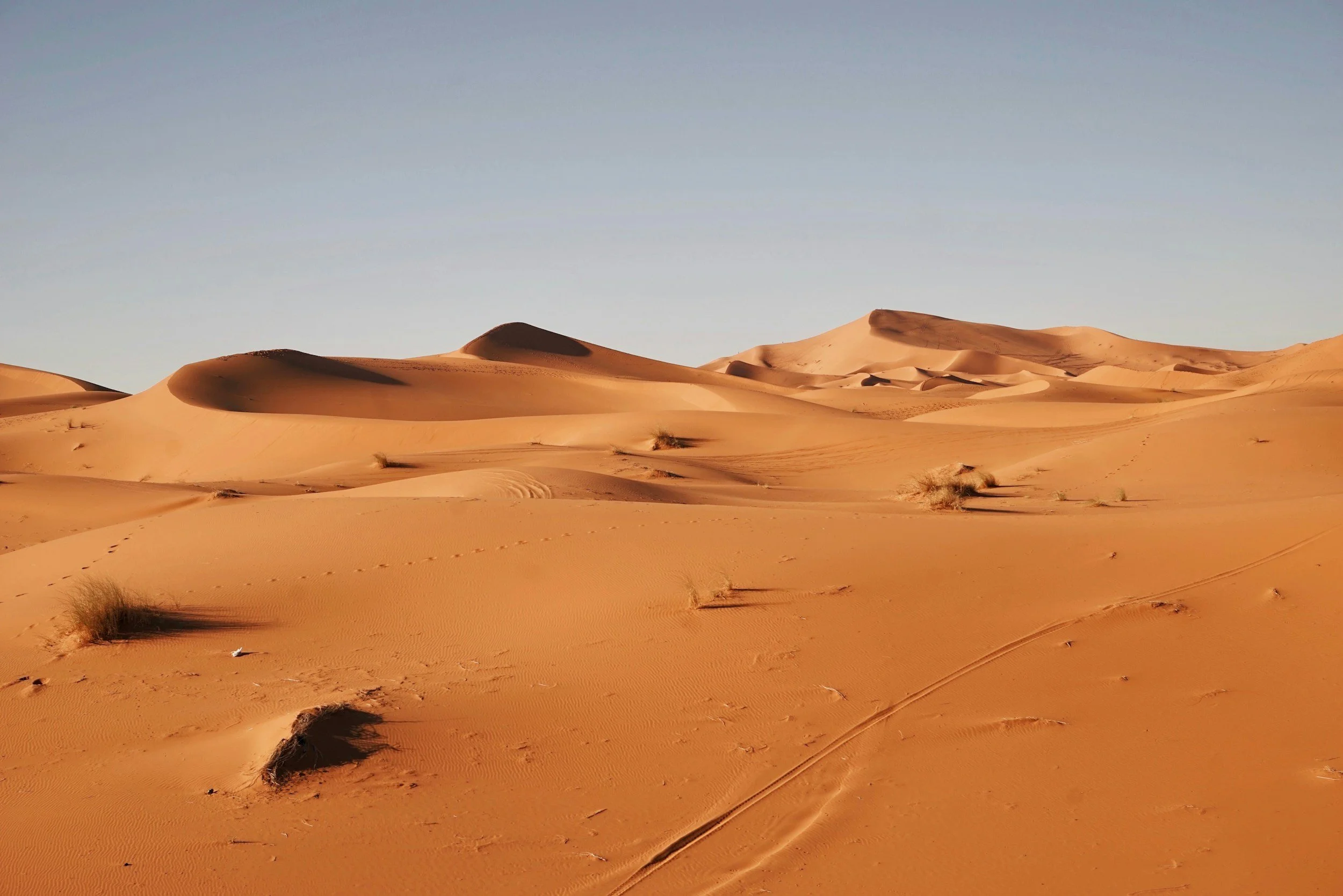 Golden sand dunes of the Sahara Desert in Morocco under a clear blue sky.