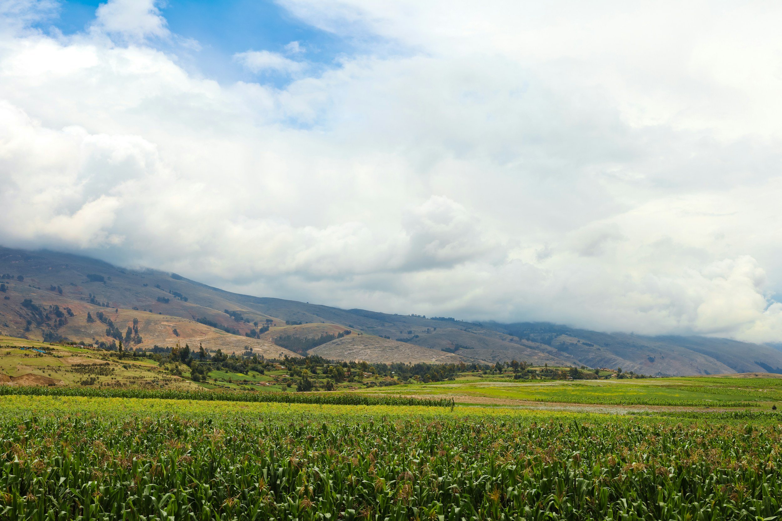 Green farmland and Andean mountains in the Sacred Valley, Peru
