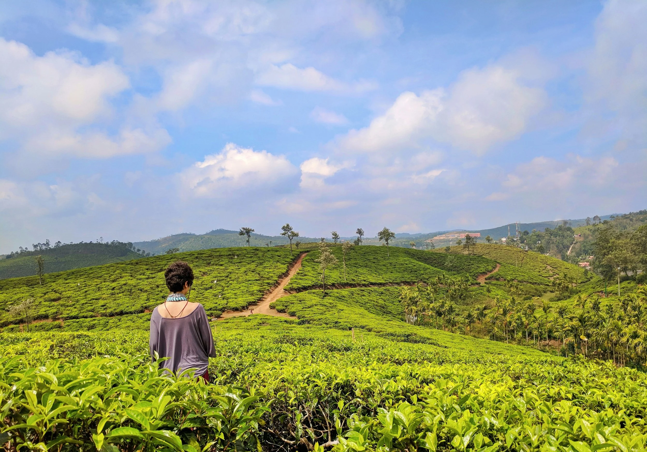 Women traveling into the tea hills of Munnar during a Kerala group trip