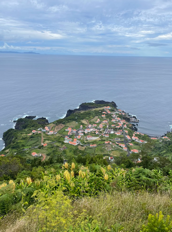 Village on a green coastal fajã below the cliffs of São Jorge island in the Azores