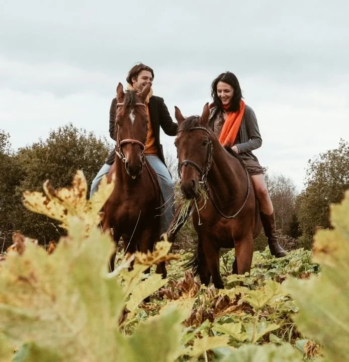 Two people riding horses in a field with autumn foliage, smiling and enjoying the outdoor experience.