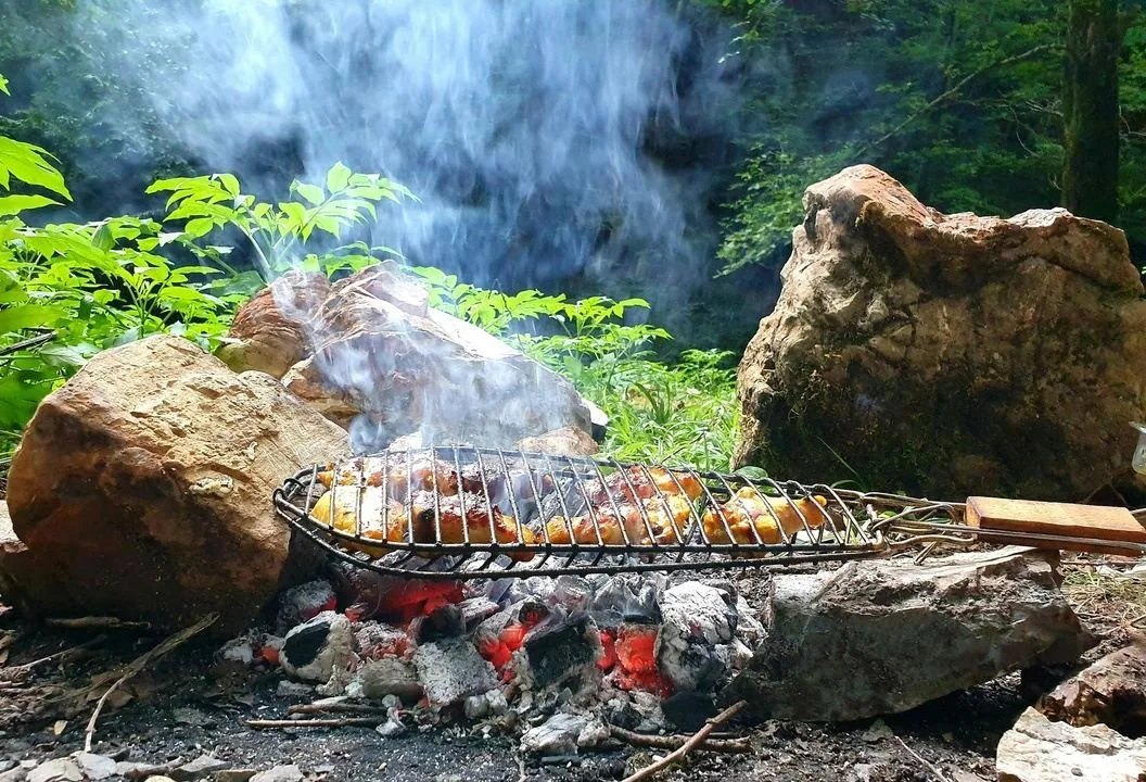 Meat grilling on a wire rack over an open campfire surrounded by large rocks and green plants in a forest setting.