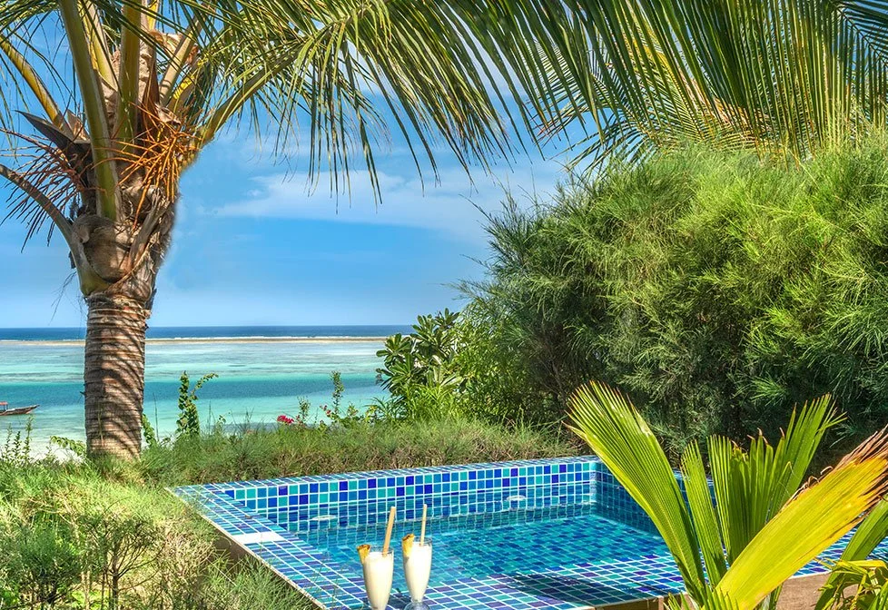 Private pool and palm trees overlooking the turquoise sea in Zanzibar