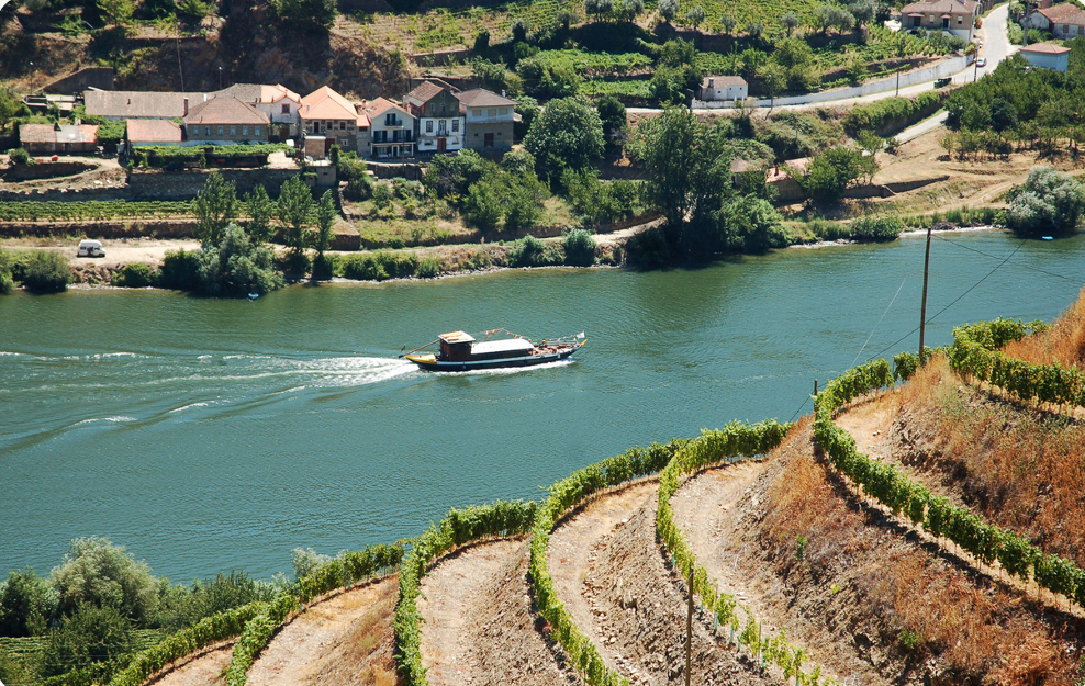 Douro Valley vineyards and traditional Rabelo boat cruise on a women’s Portugal trip