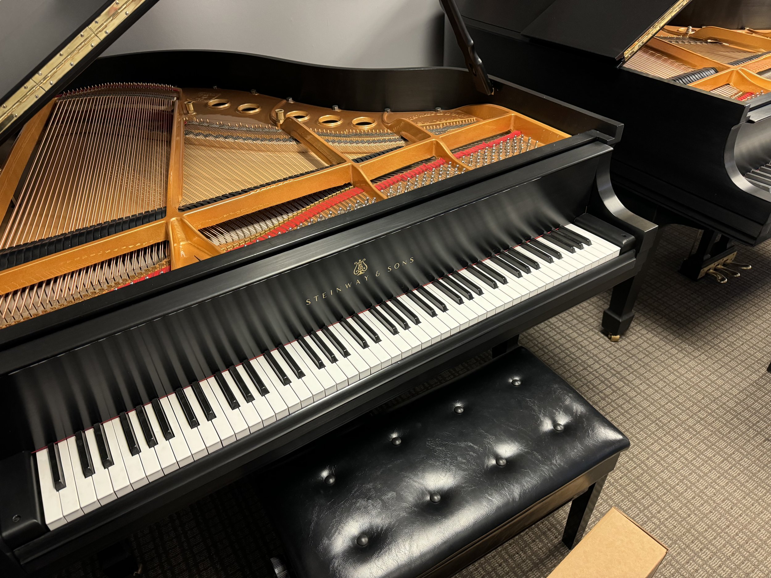 Steinway & Sons Model M