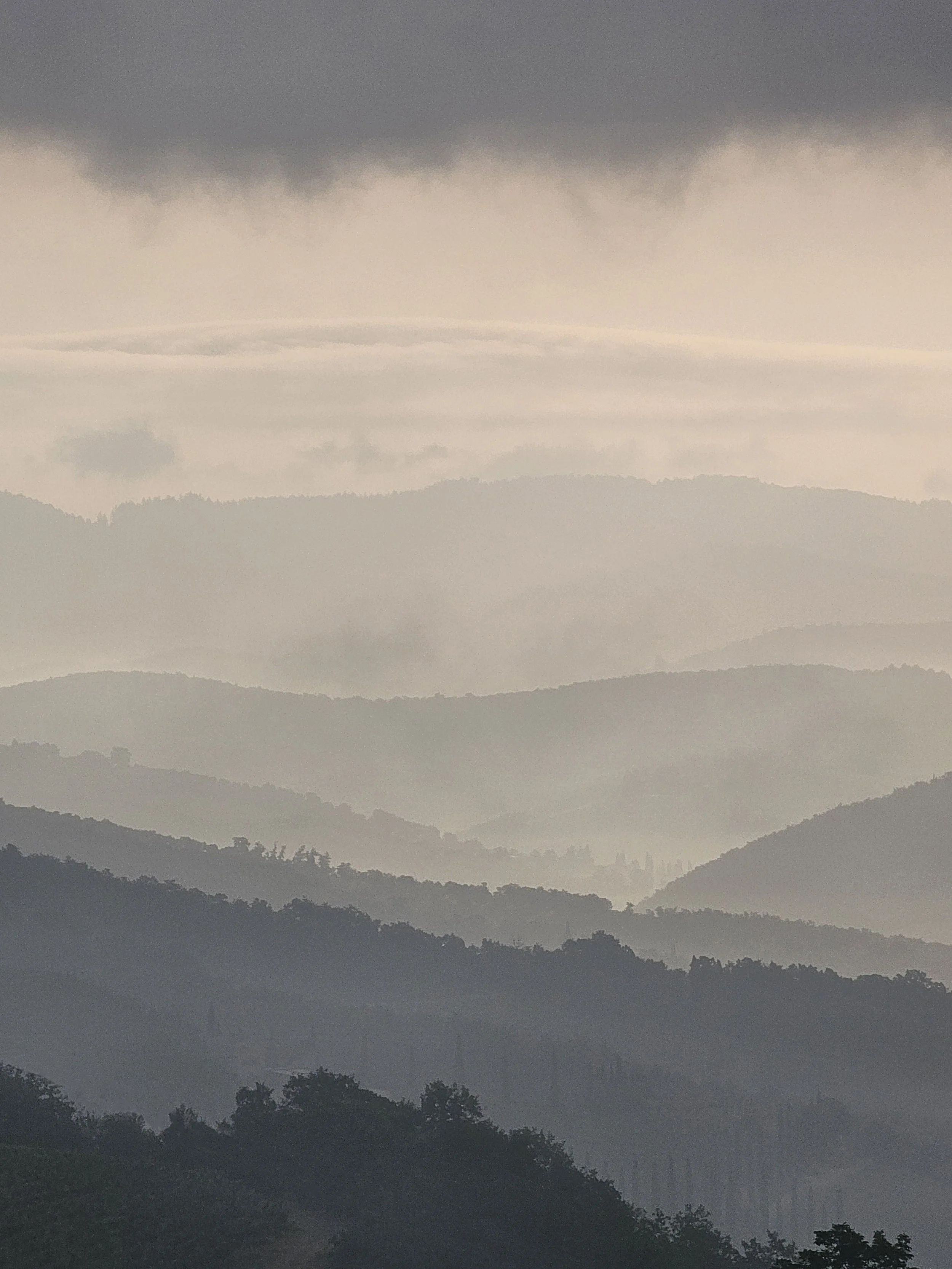 The Hills of Tuscany