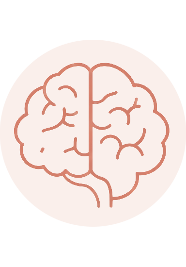 Illustration of a human brain outline with a light background and brownish lines.