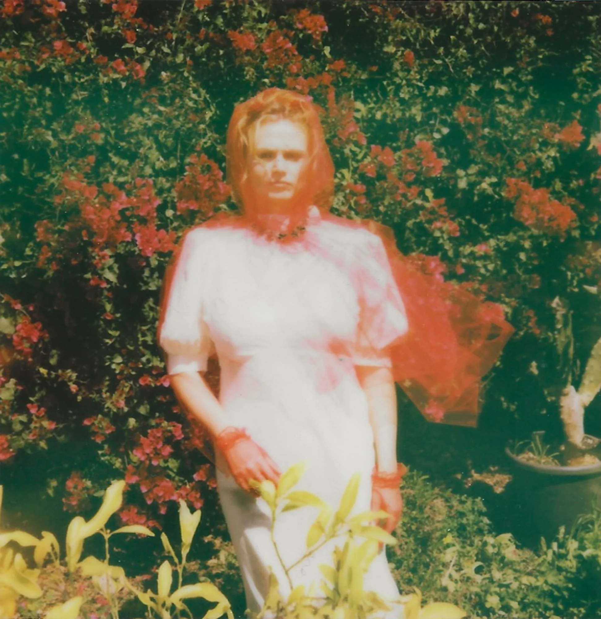 Look4 Chloie Stardust 19.jpg