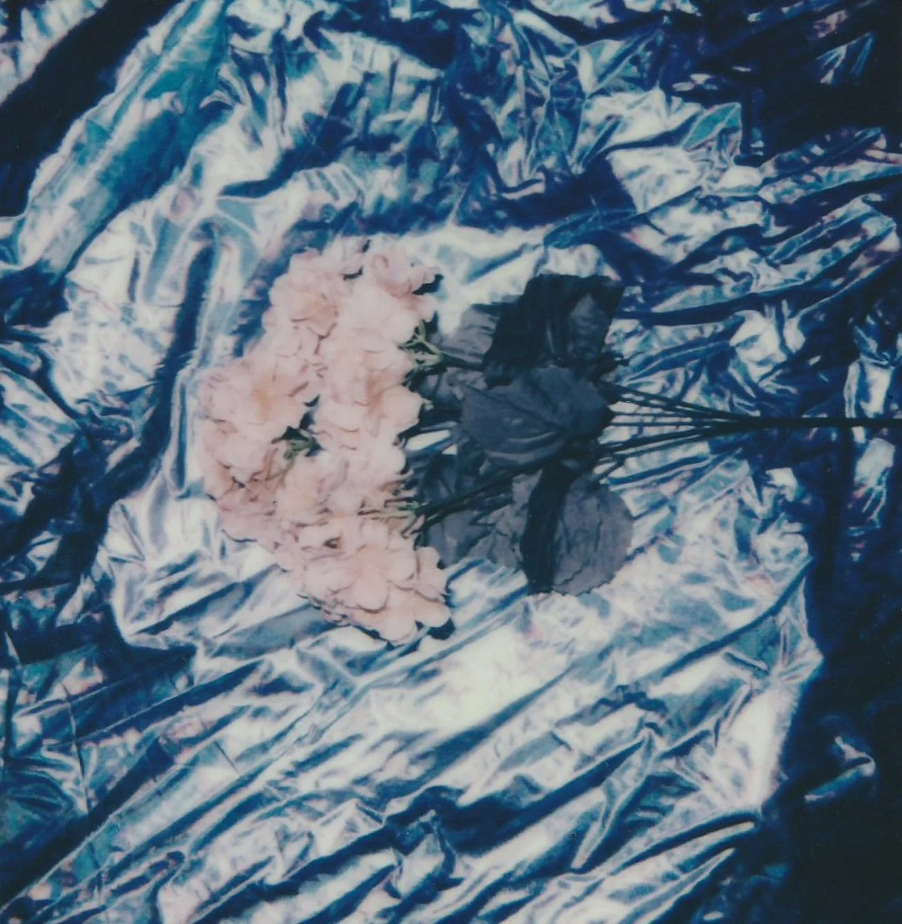 Flowers on Fabric.jpg