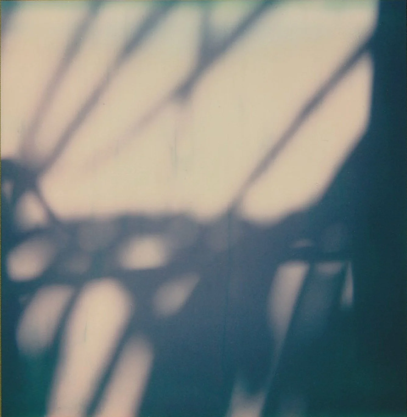 Light and Shadow.jpg